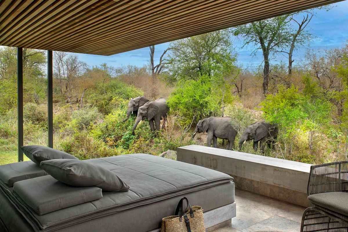 I've Been a Travel Writer for Years and This South African Safari Lodge Is the N...