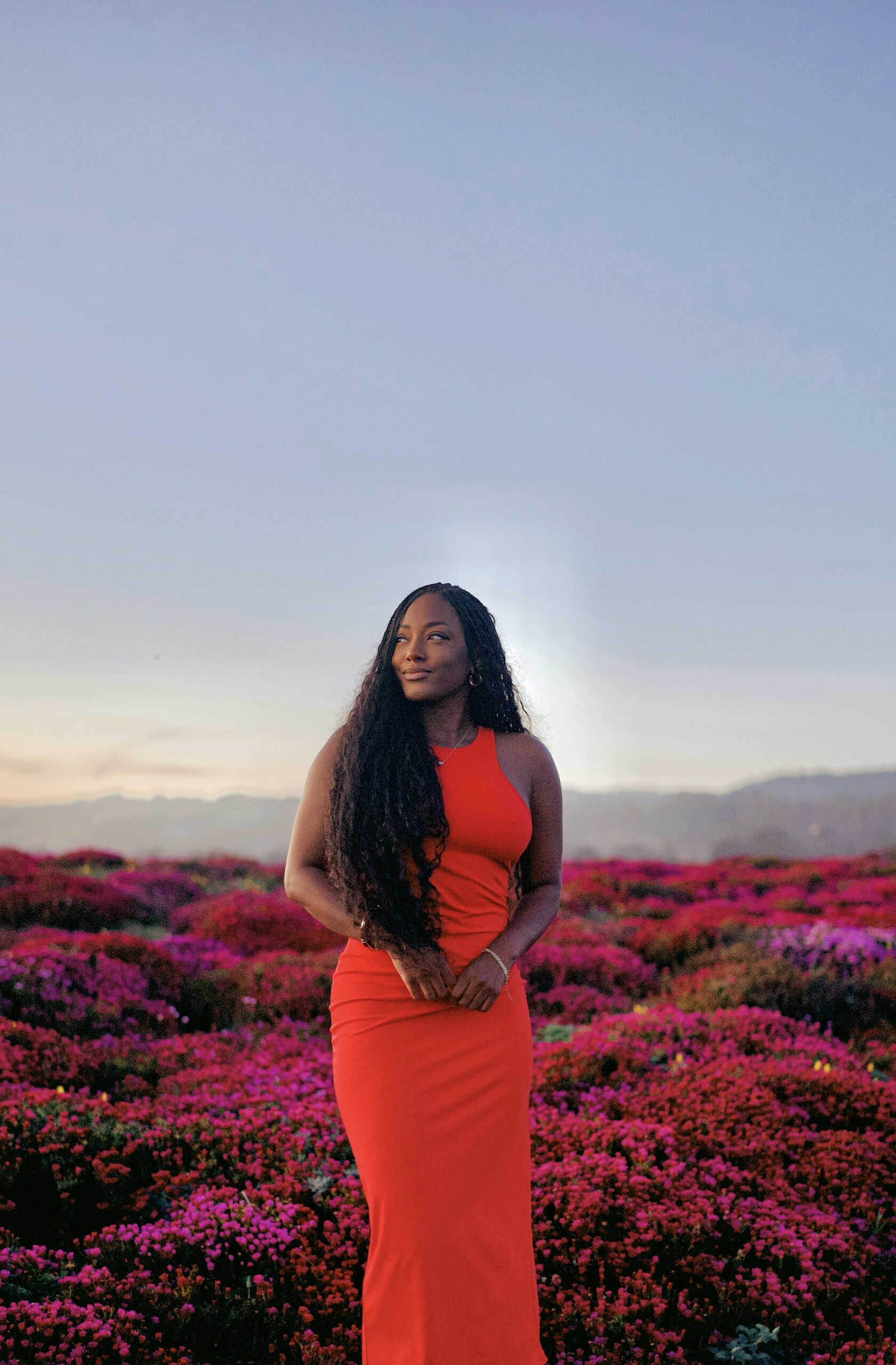 The Ultimate California Road Trip: Exploring Oakland, Santa Cruz, and Sonoma