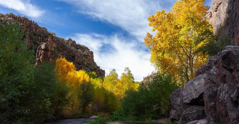 Aravaipa Canyon in Arizona has some of the best fall foliage in the American Sou...