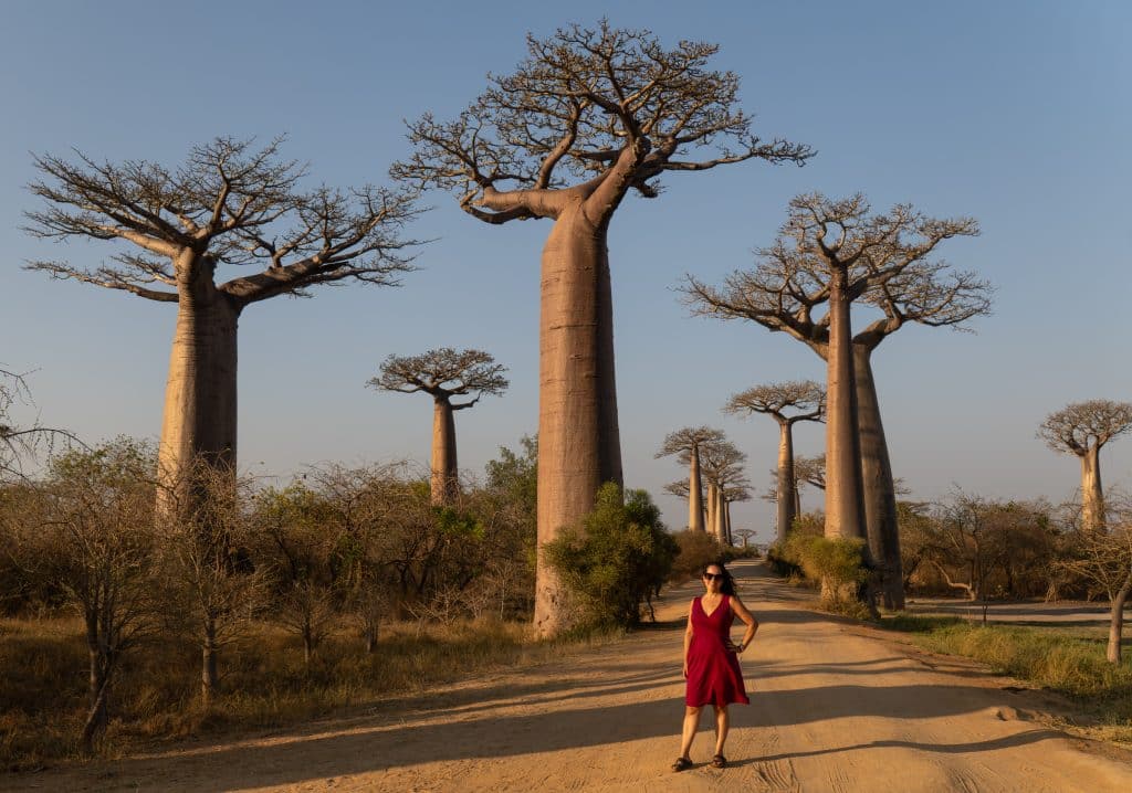 My Favorite New Destinations of 2025