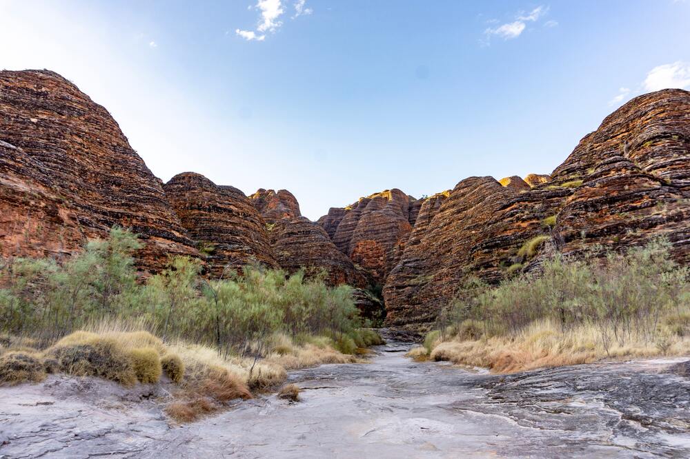 Explore Nature, Wildlife & Scenic Adventures