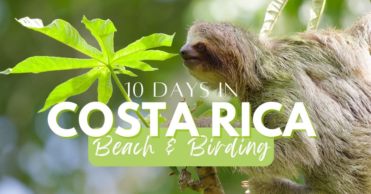 10-Day Costa Rica Itinerary - Beach and Birding