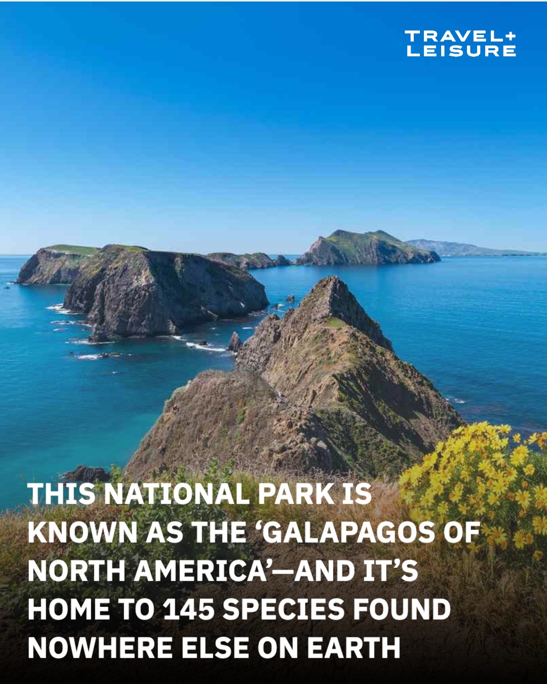There's nowhere else on the planet quite like this. Learn more at the link in th...