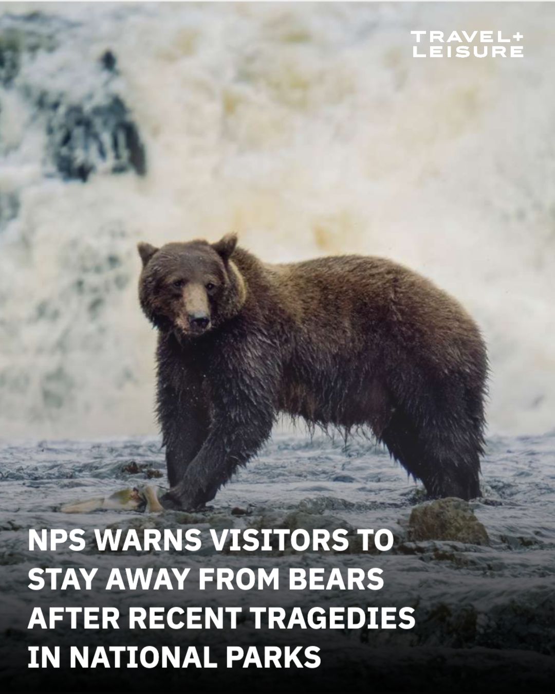 As the weather turns warm, travelers are being advised to take extra precautions...