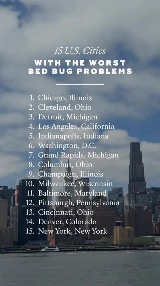 Orkin’s annual bed bug report reveals the most affected cities—and which ones ar...