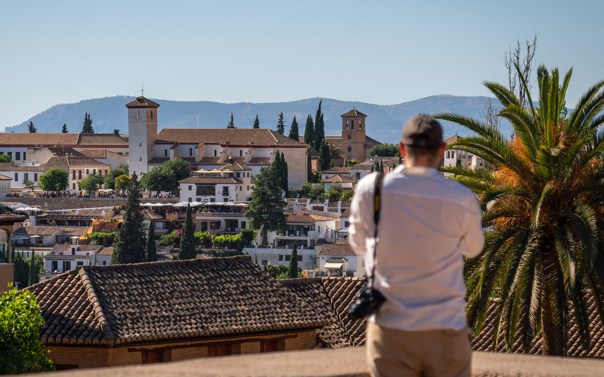 Travel Tips From a Local