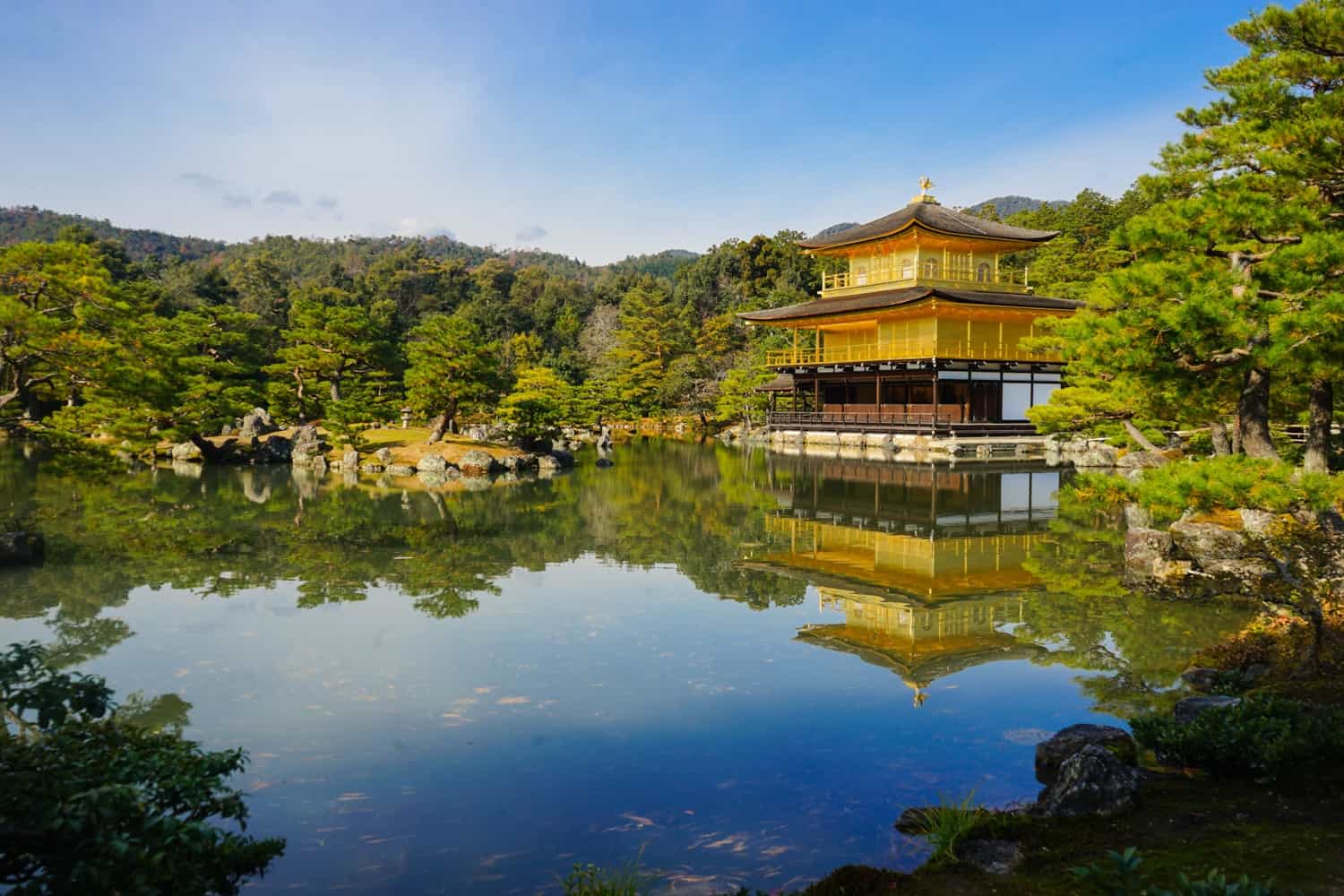 What's it Like in Japan? 31 Travel Tips for 2026